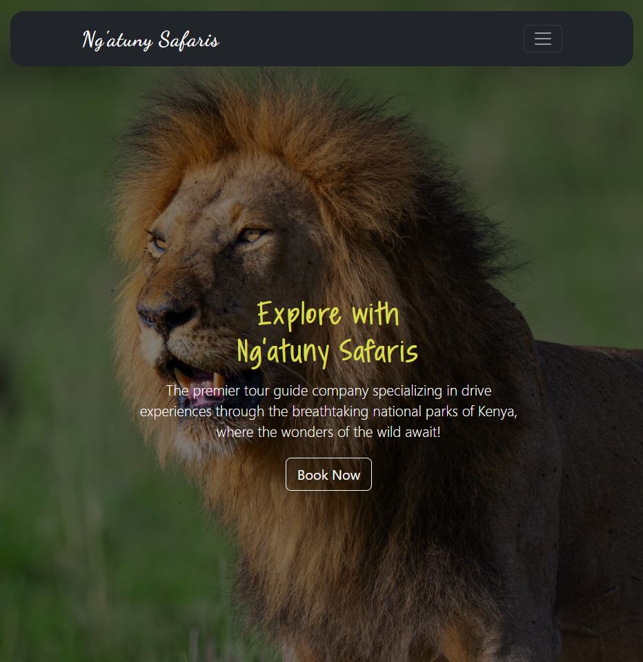 Ngatuny Safaris responsive multi-page tour adventure website homepage preview